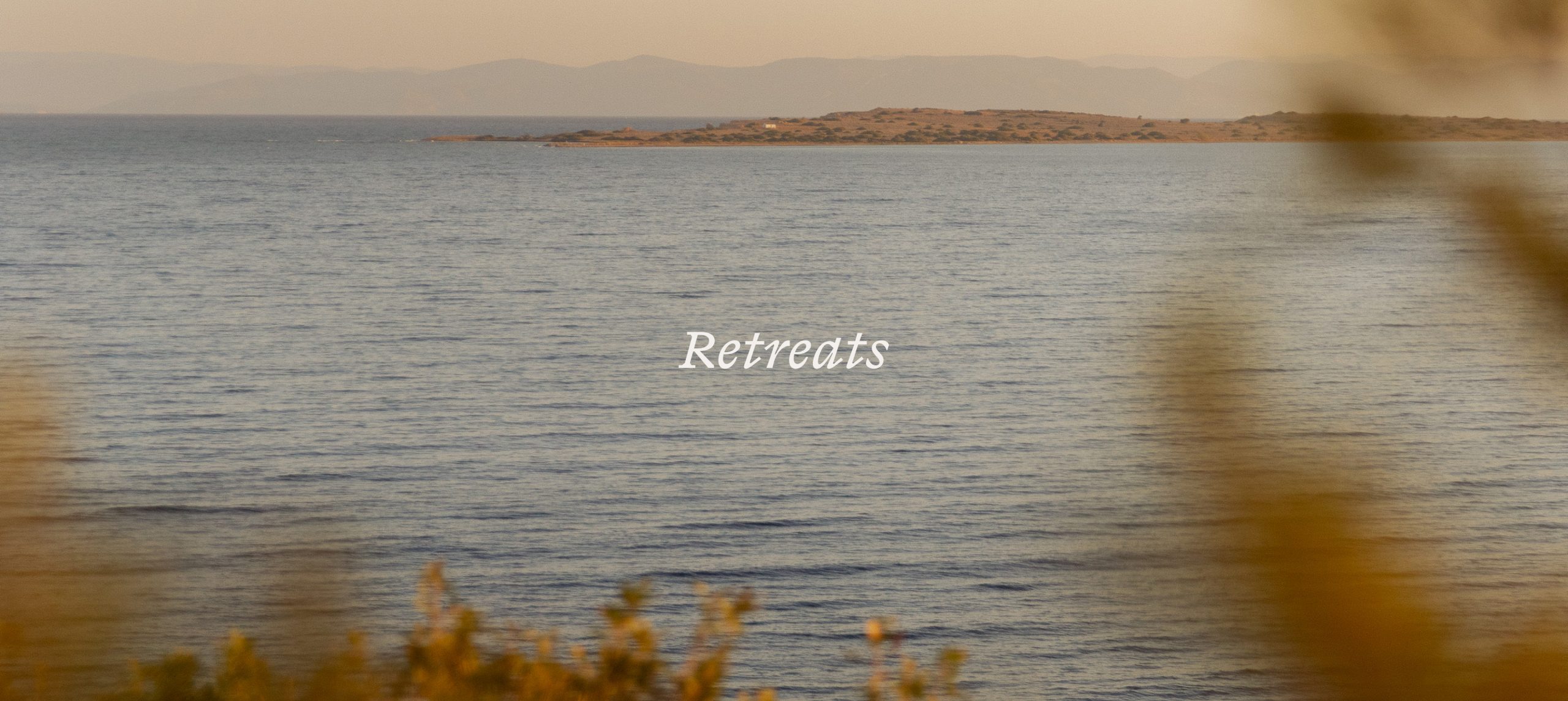 Katharina Albrecht | Retreats