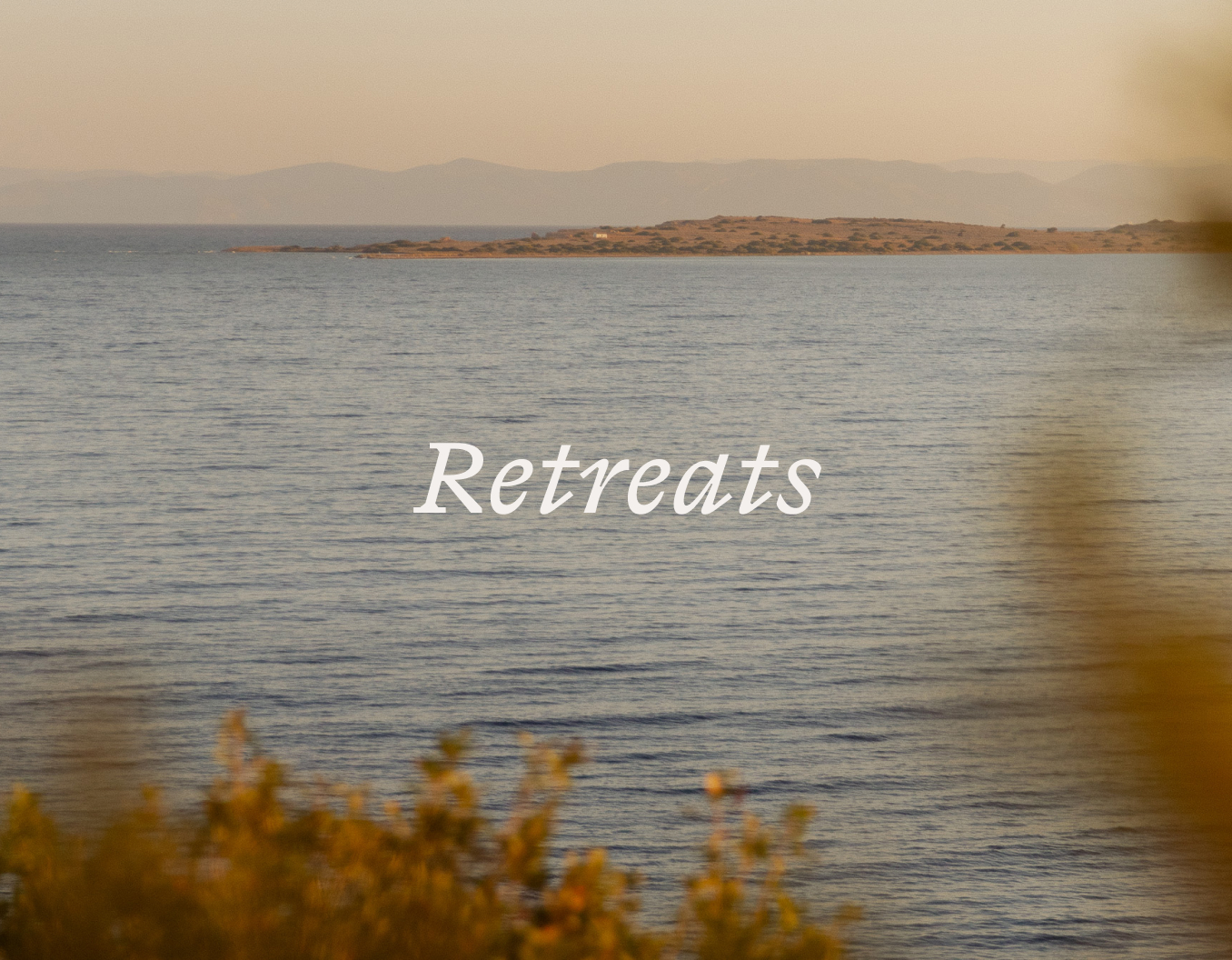 Katharina Albrecht | Retreats