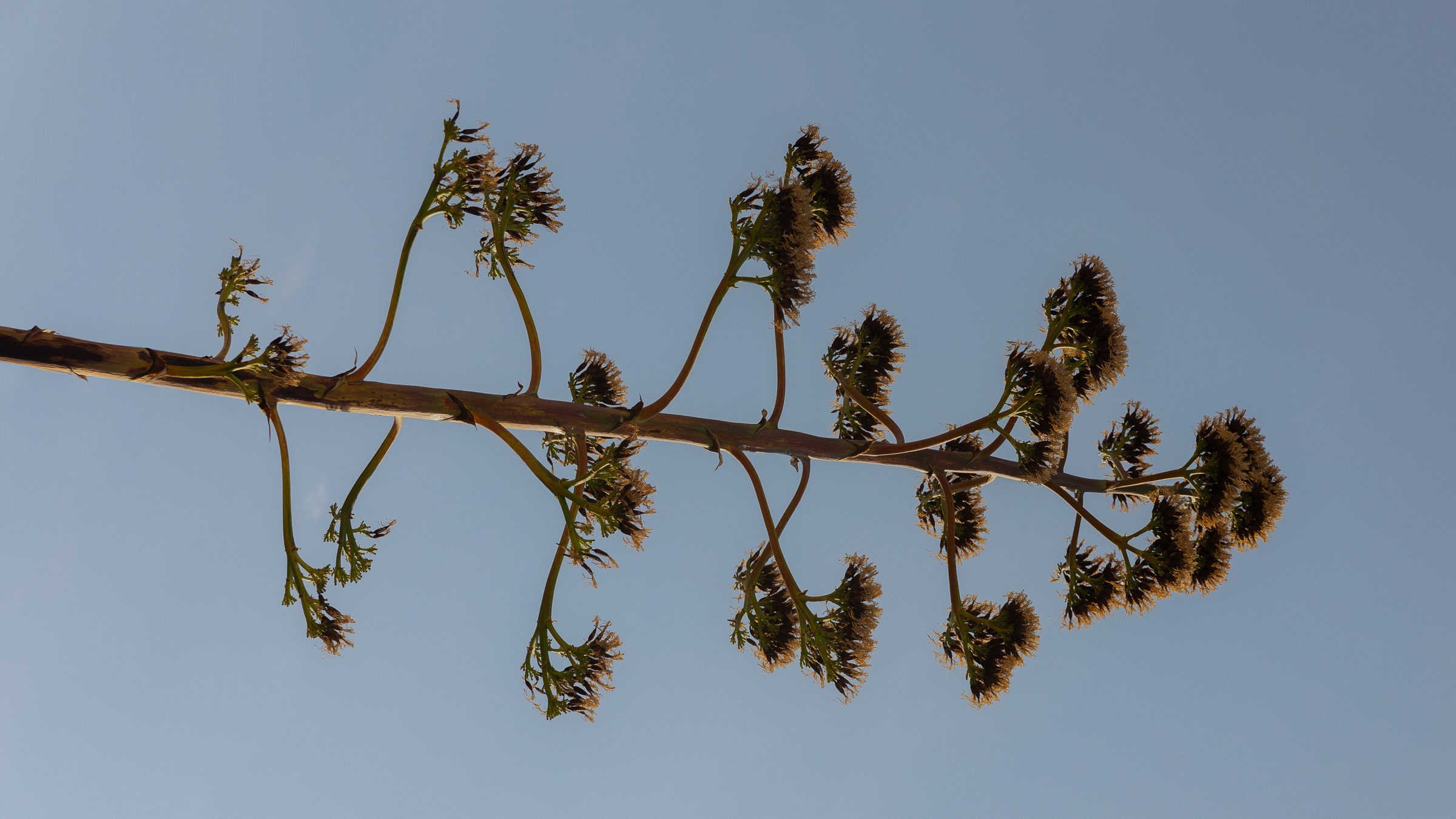 nourishing the nervous system