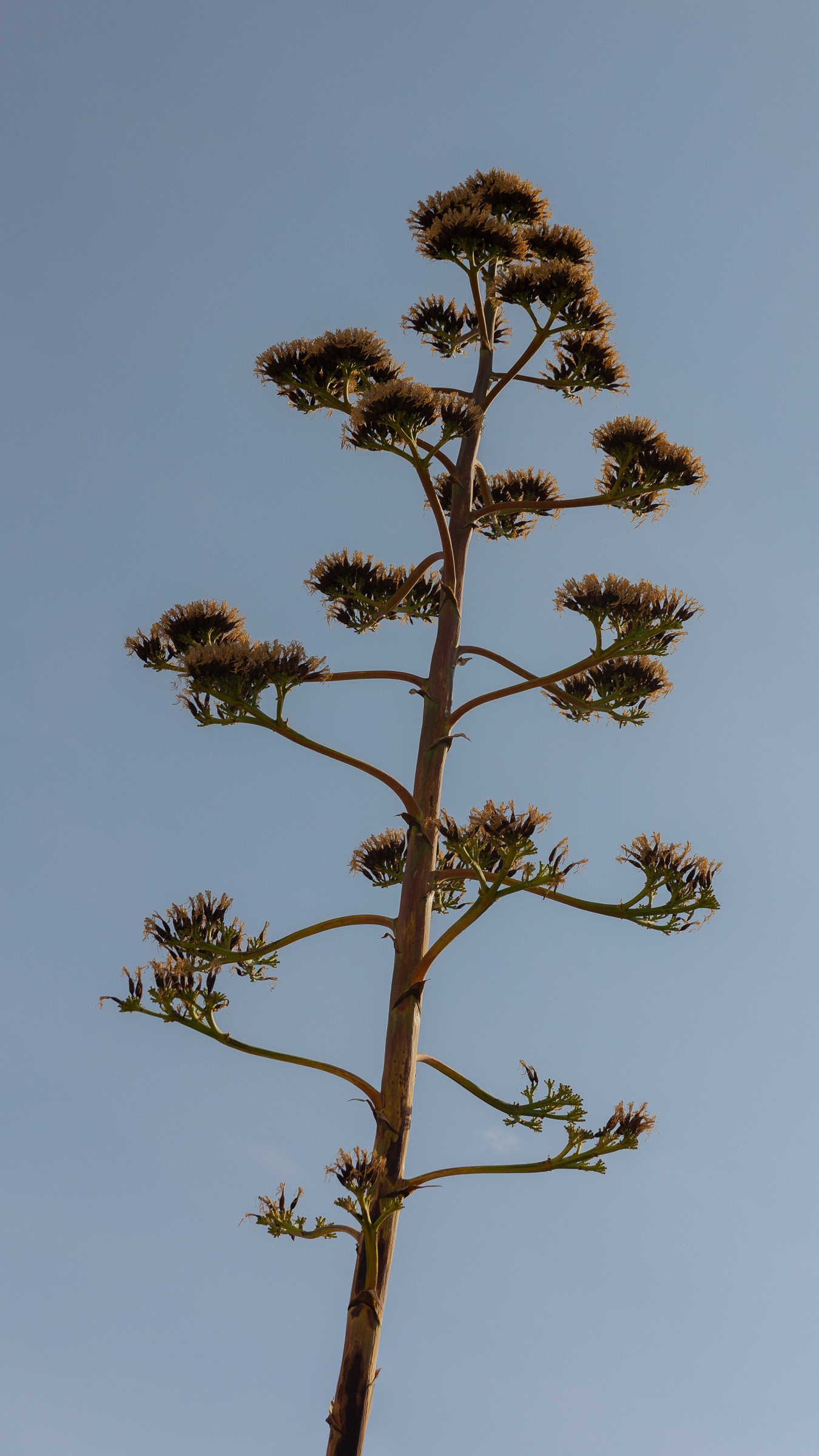 Katharina Albrecht | Workshop nourishing the nervous system
